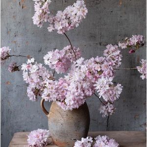 🌸 Thank you! 🌸